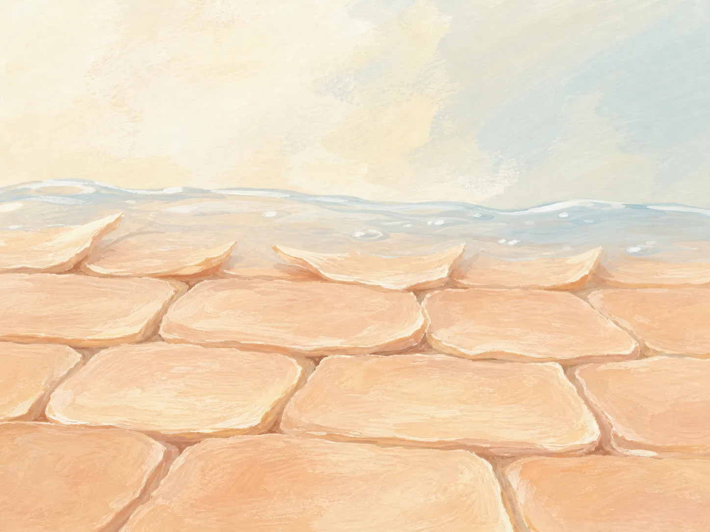 Acetyl Glucosamine and a skin-layer absorption visual