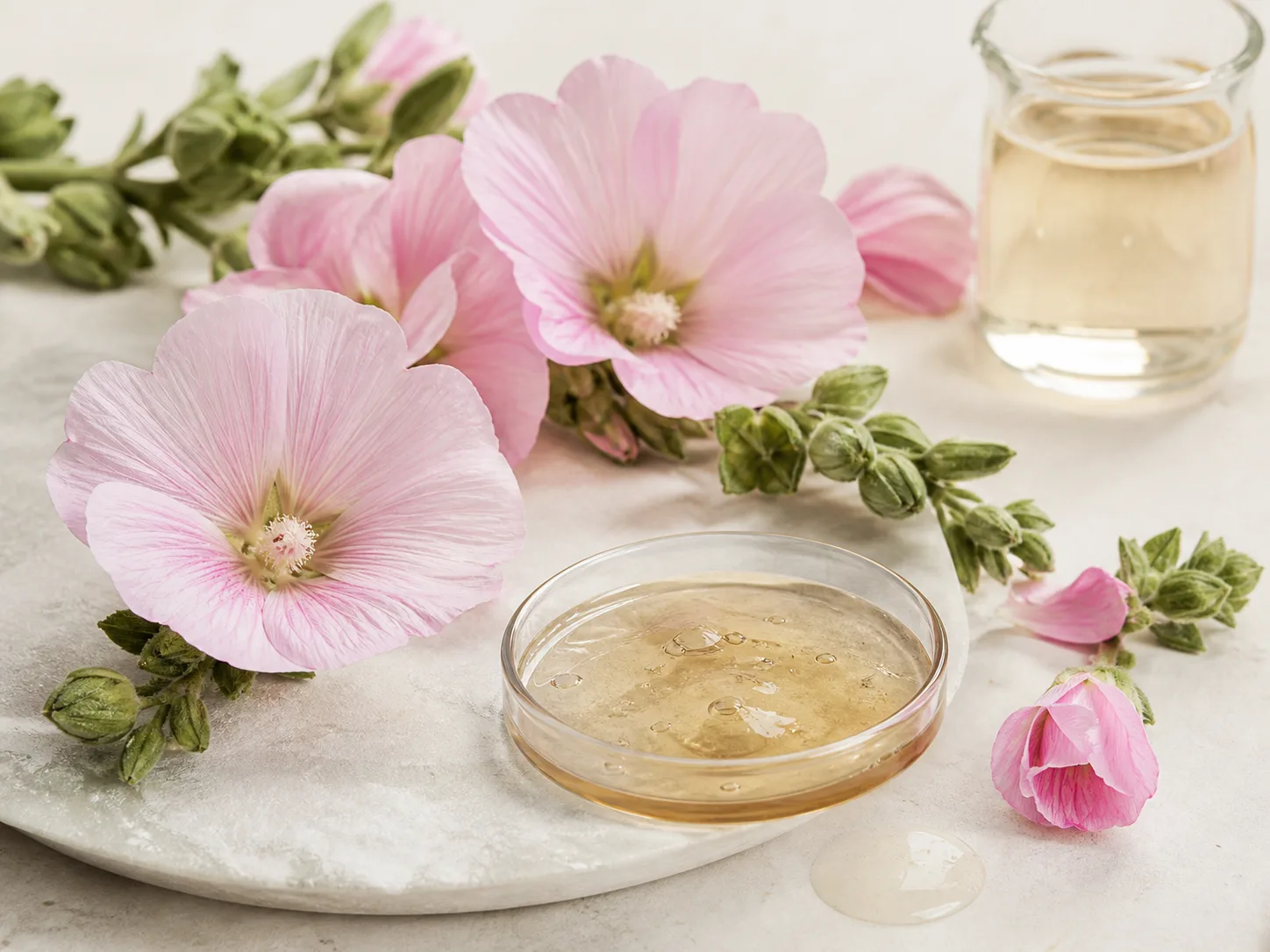Althaea Rosea Flower Extract raw cosmetic material with formulation textures