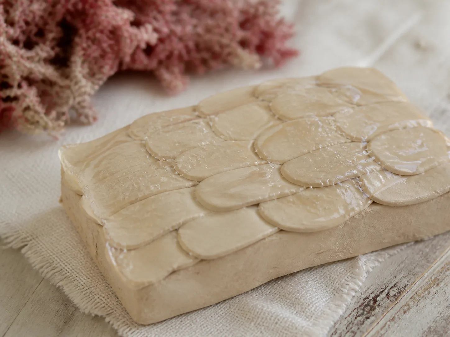 Corallina Officinalis Extract and a skin-layer absorption visual