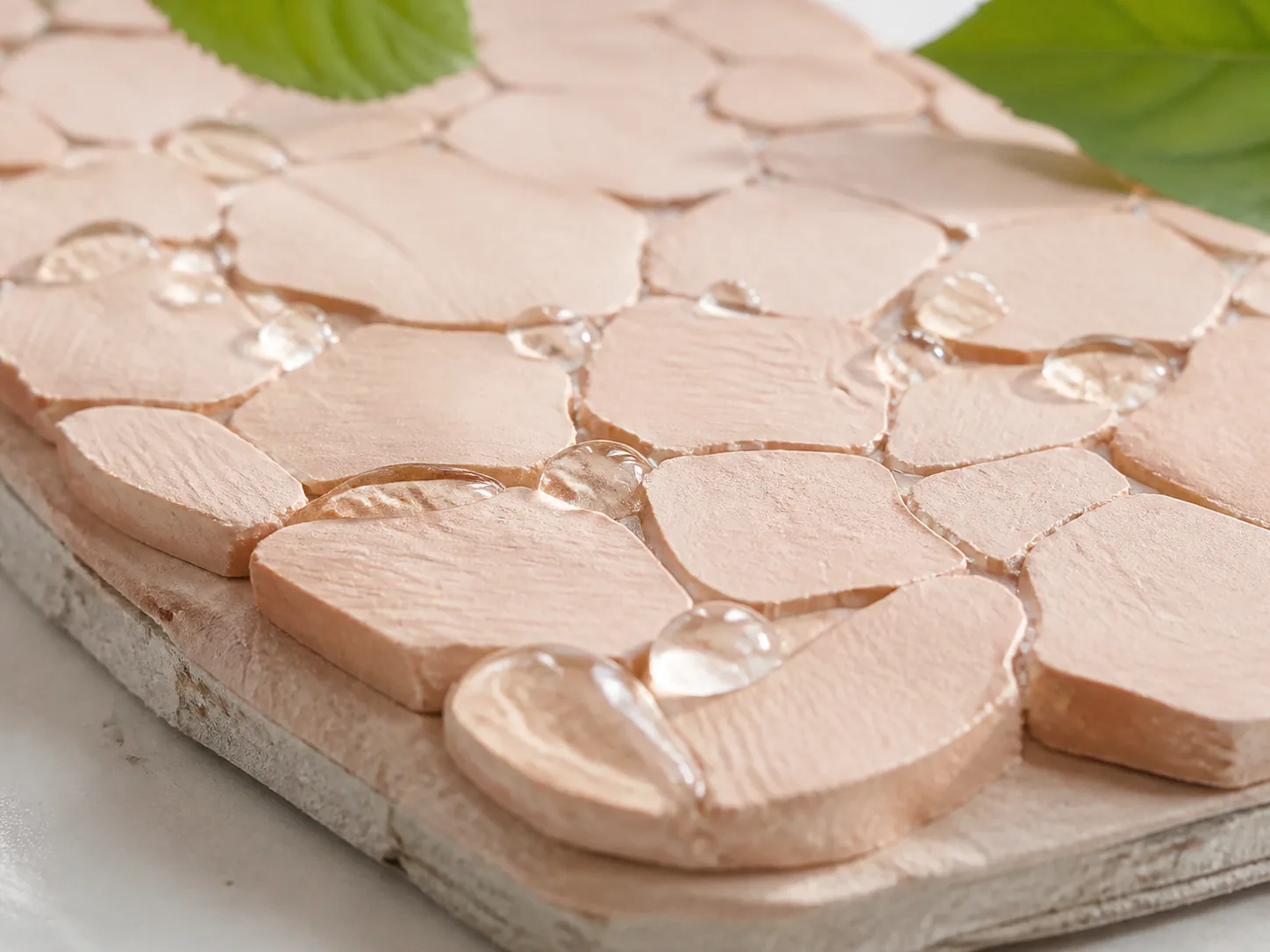 Corchorus Olitorius Leaf Extract and a skin-layer absorption visual