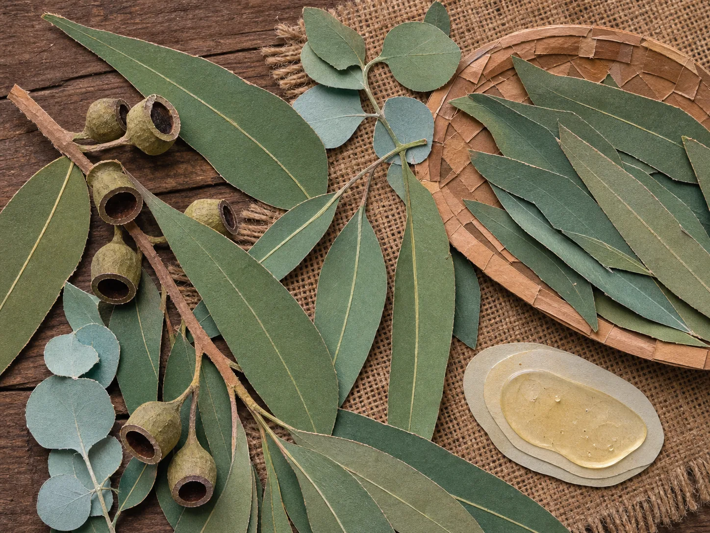 Eucalyptus Globulus Leaf Extract raw cosmetic material with formulation textures