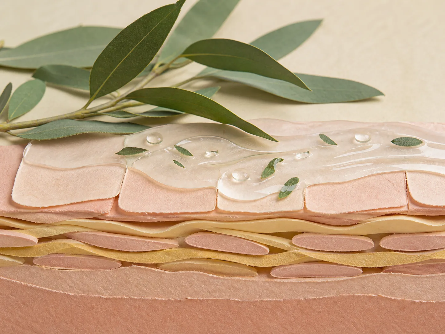 Eucalyptus Globulus Leaf Extract and a skin-layer absorption visual