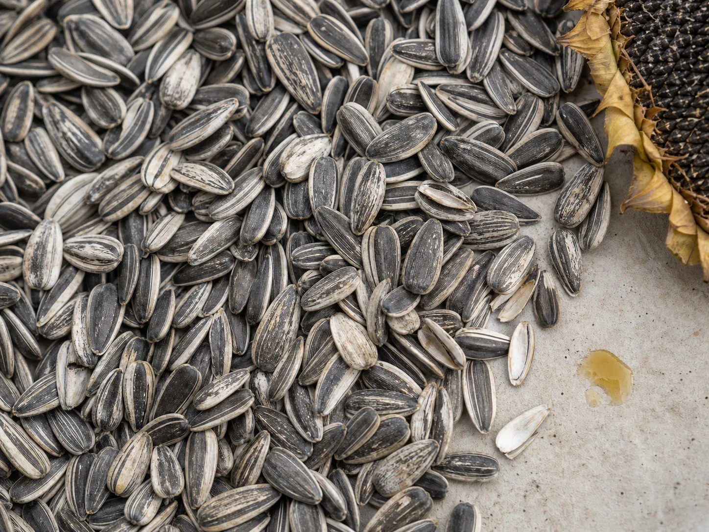 Helianthus Annuus (Sunflower) Seed Oil 원료와 화장품 제형 질감을 보여주는 이미지