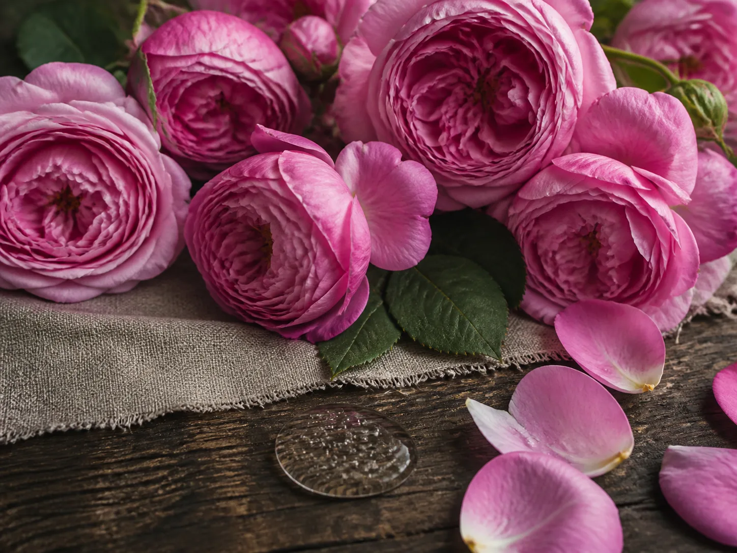 Rosa Damascena Flower Extract raw cosmetic material with formulation textures