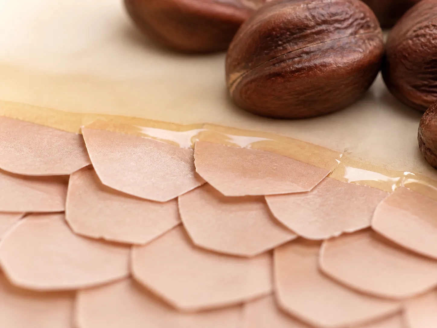 Simmondsia Chinensis (Jojoba) Seed Oil and a skin-layer absorption visual